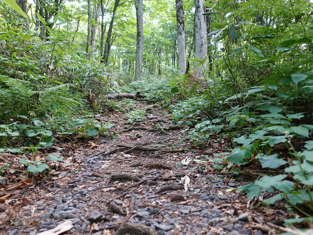 烏ヶ山登山道