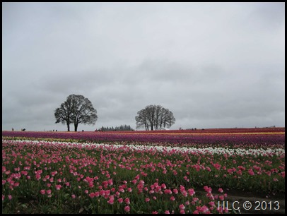 13-04-19-11-40-00H
