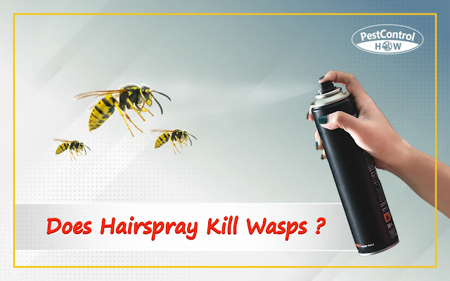 does-hair-spray-kill-wasps