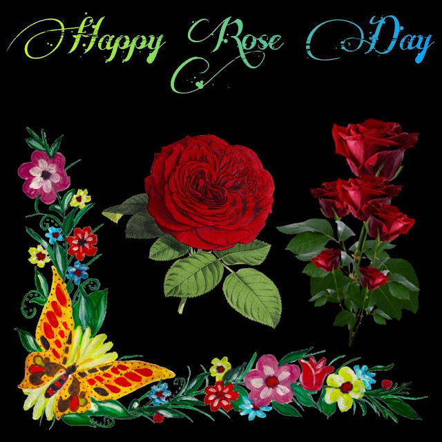 Happy Rose Day Images For Whatsapp