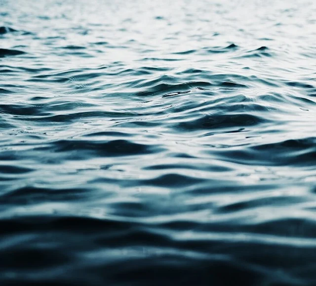 Tragedia en Pucatrihue: Joven de 23 años pierde la vida en el mar