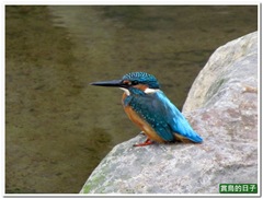 20110918_084247_009_NeiGouLi