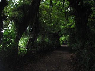 Isla de Ometepe, Nicaragua