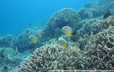 Snorkeling bersama Charles Roring