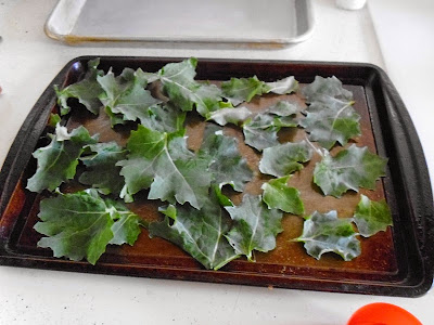 Kale Chips unoiled