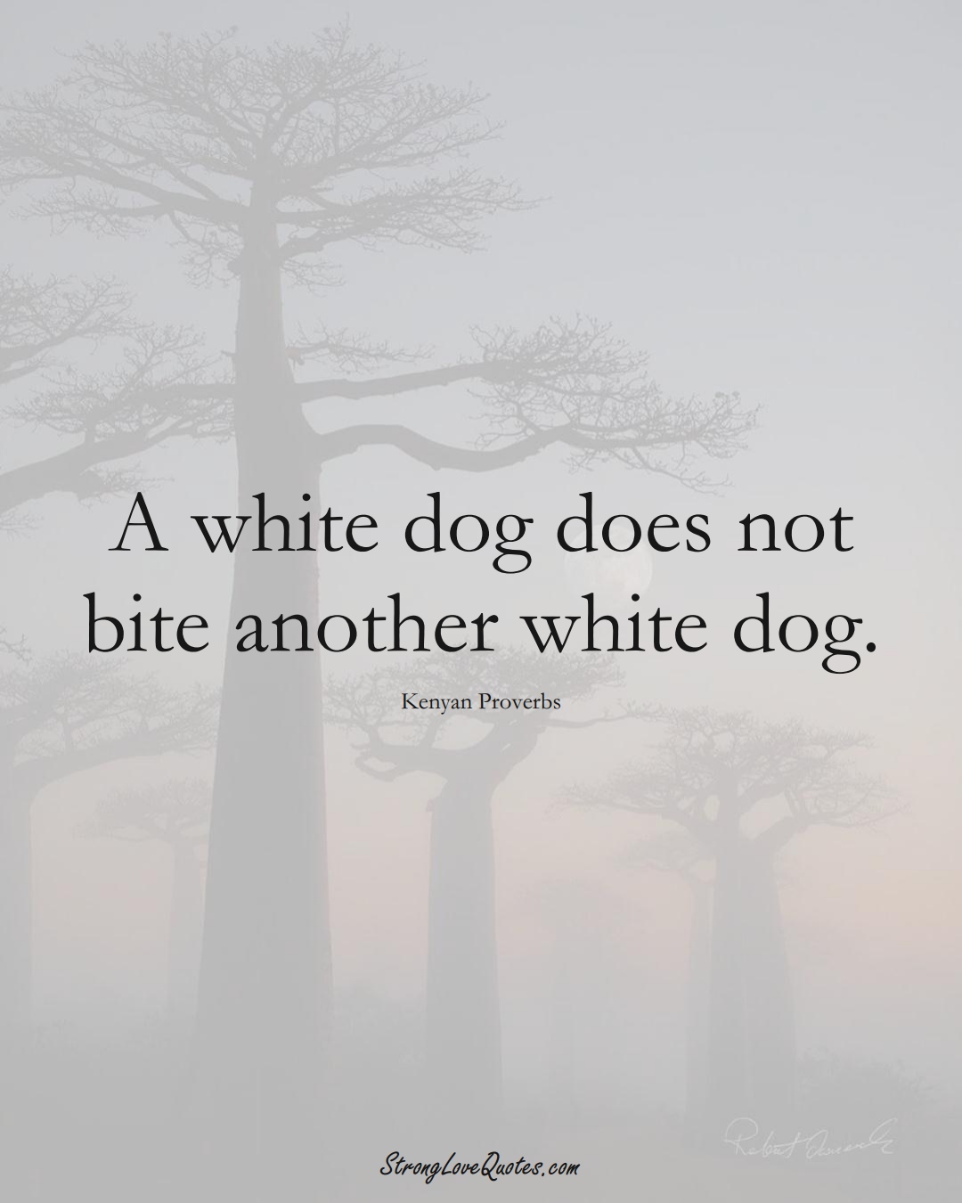 A white dog does not bite another white dog. (Kenyan Sayings);  #AfricanSayings