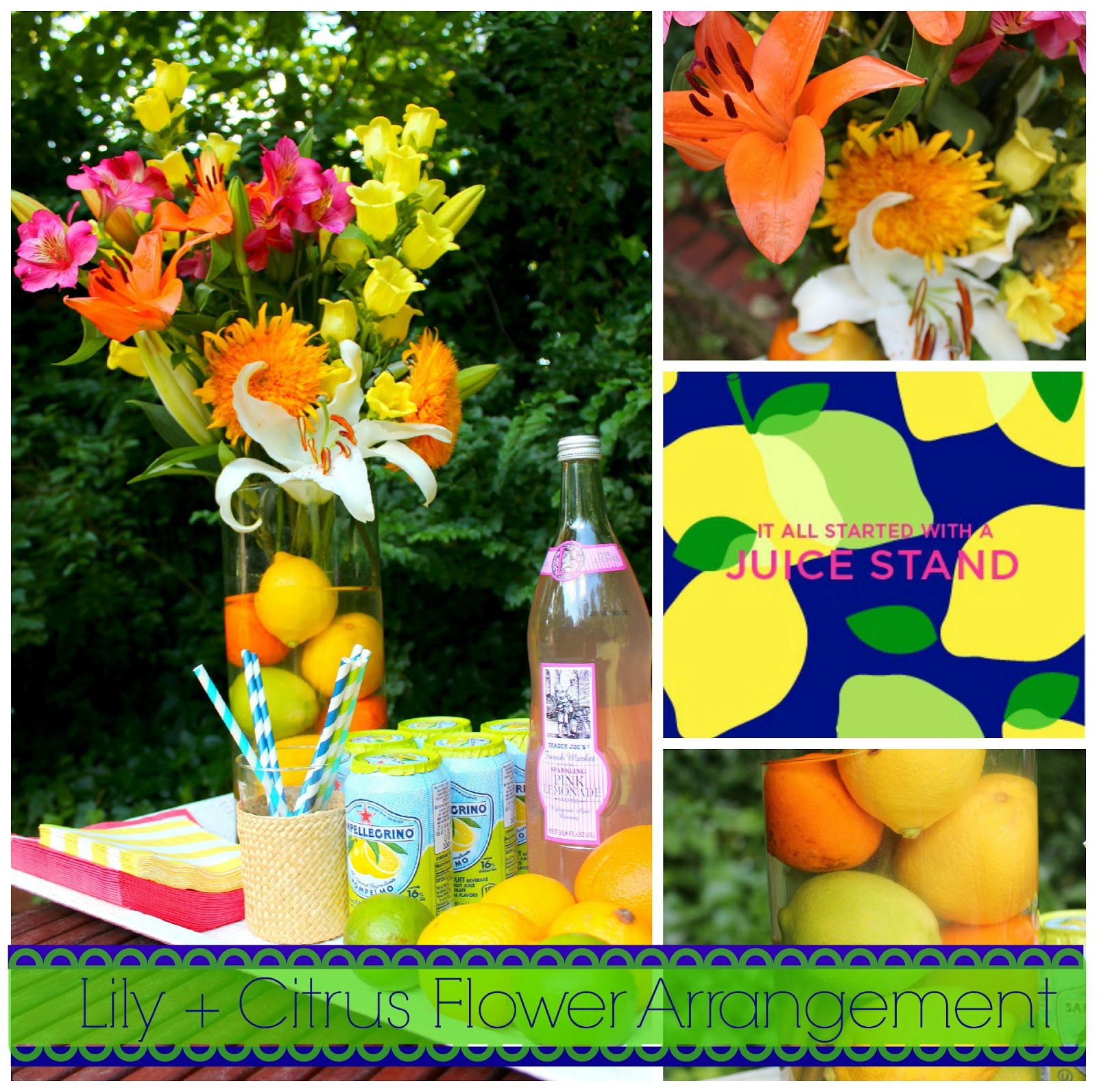  Lilly Pulitzer Inspired Lily Citrus Flowers Southern 