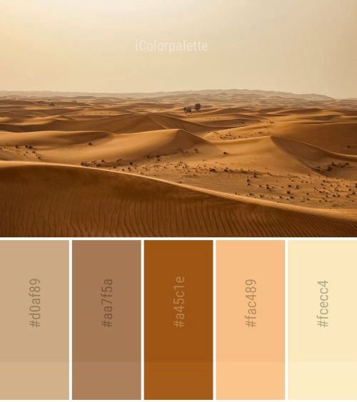 اللون الصحراوي