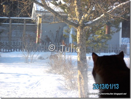 PICT0965