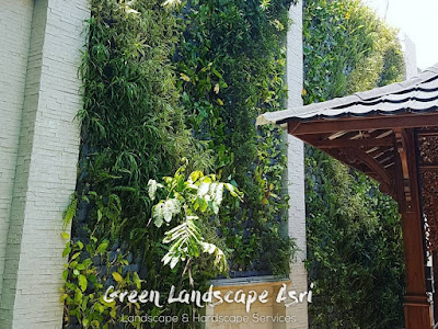 Jasa Bikin Vertical Garden Kubu Raya - Jasa Taman Vertikal di Kubu Raya Berkualitas