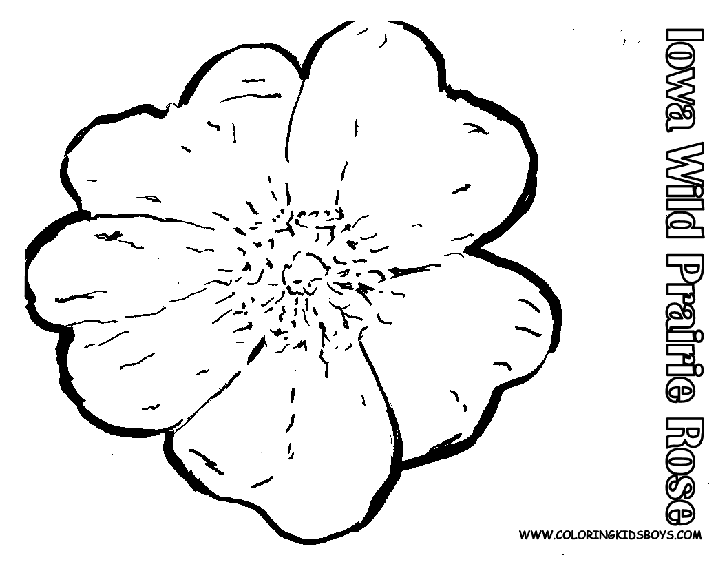 flower coloring pages