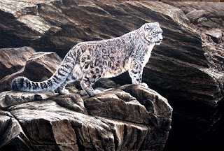 Snow Leopard by Alan M Hunt