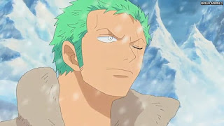 ワンピースアニメ パンクハザード編 595話 ロロノア・ゾロ Roronoa Zoro | ONE PIECE Episode 595