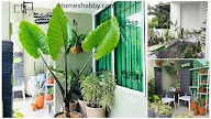 37+ Teras Taman Background