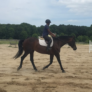 http://theambitiousequestrian.blogspot.com/2016/03/fun-new-exercises-from-horse-physio.html