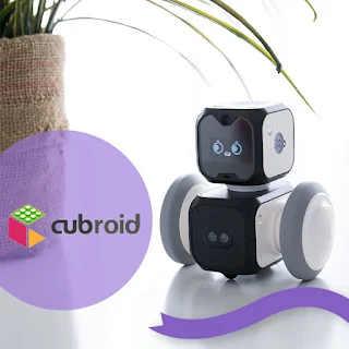 Mainan Robot Pintar Cubroid Artibo