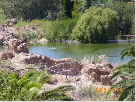 the Boyce Thompson lake