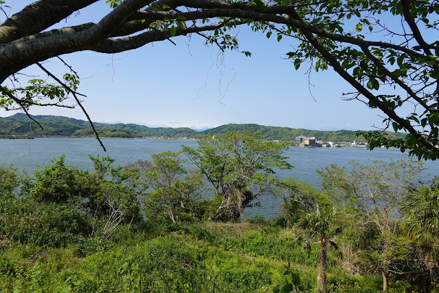 東郷湖一周ウォーキングコースからの眺めが綺麗です