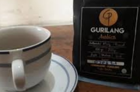 Kopi pemalang gurilang