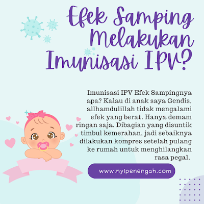 imunisasi ipv untuk usia berapa imunisasi ipv disuntik dimana imunisasi ipv untuk apa