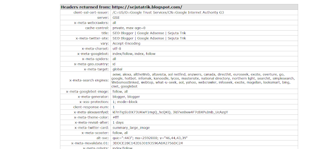 Robot Meta Tag Analyzer