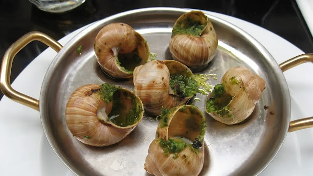 Snails Food