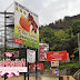 Ladang TEH BOH Sungei Palas, Cameron Highlands