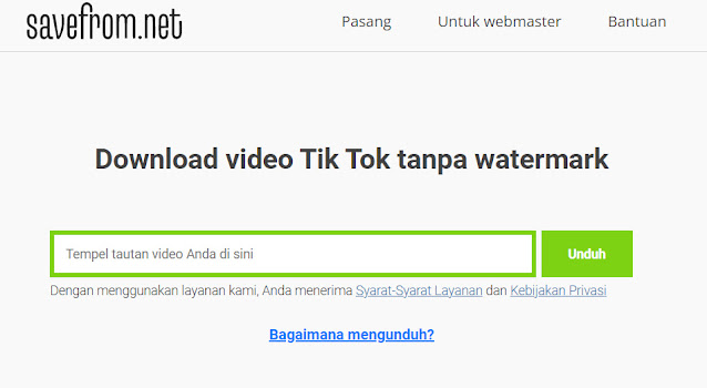 savefrom net tiktok downloader