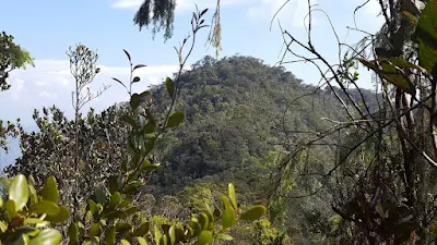 foto gunung Pagon