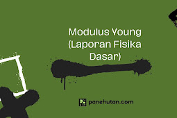 Modulus Young (Laporan Fisika Dasar)