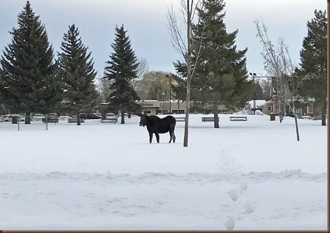 Heber2-1 Feb 2017b