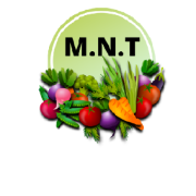 Medical nutritional therapy