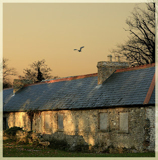 19th century estate cottages at corkagh park clondalkin