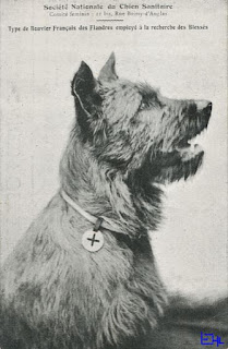 chien première guerre mondiale