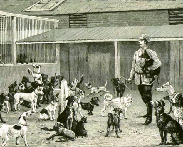 Asilo de perros de Battersea, Inglaterra. Grabado publicado en La Ilustración Española y Americana, 30-5-1886