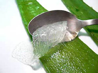 benefits of aloe vera