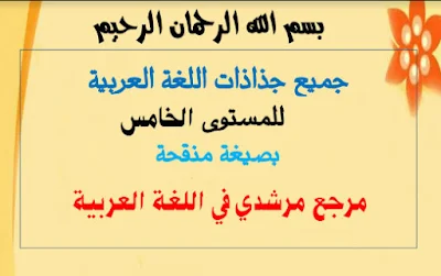 جذاذات مرشدي في اللغة العربية المستوى الخامس كاملة حسب المنهاج الجديد