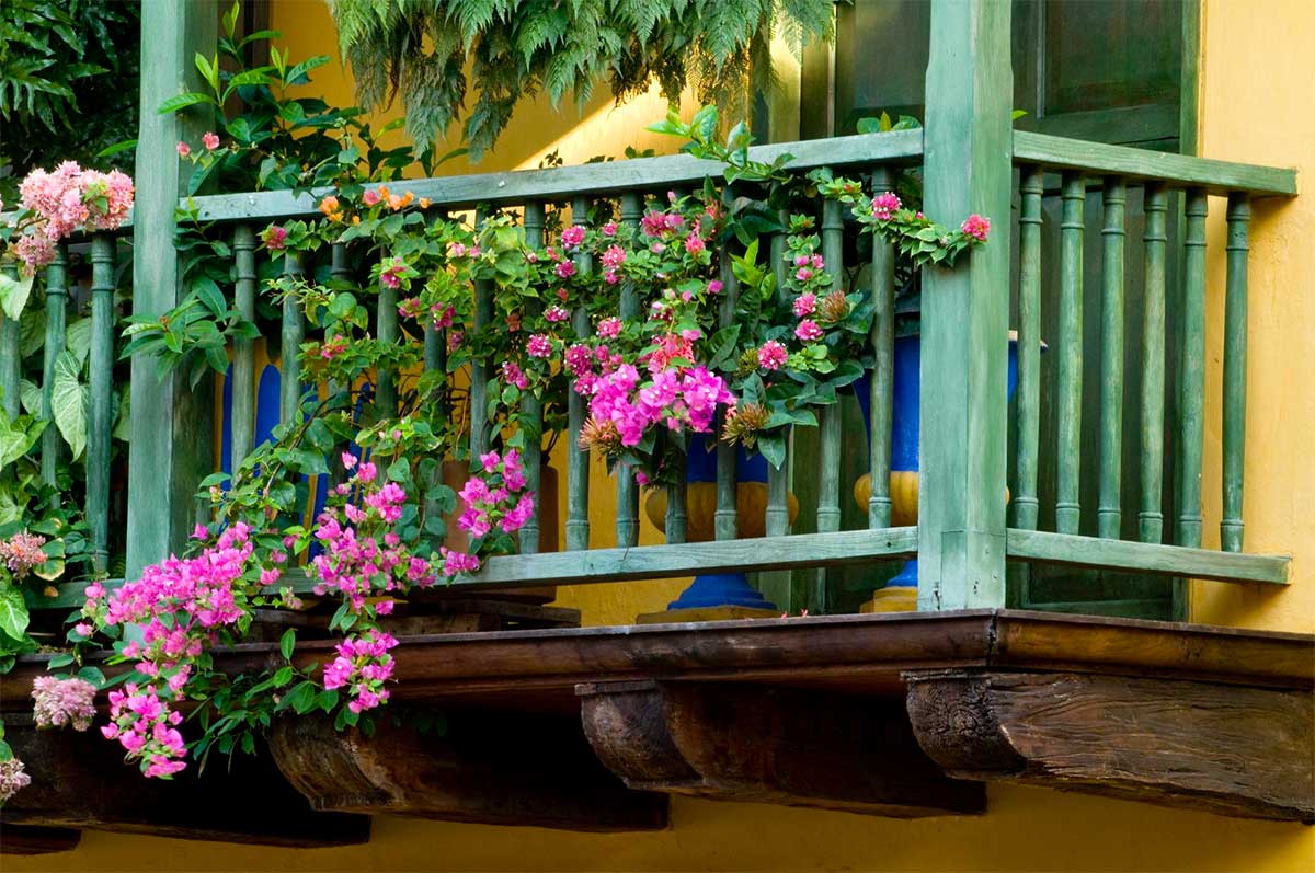 Balcony & Terrace Gardening Ideas for Every Home