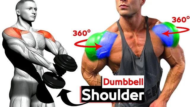 The 4-Week Dumbbell Workout Plan Part 4 : Shoulders