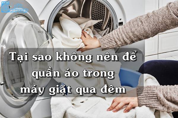 Tại sao không nên để quần áo trong máy giặt qua đêm?