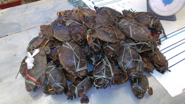 mud crabs being sold at the public market of Guiuan Eastern Samar