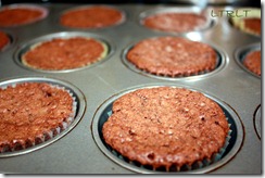 AB Cocoa Brownies