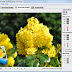  Neat Image Pro 7.0+Crack+Plugins+Serial For x32&x64 bits
