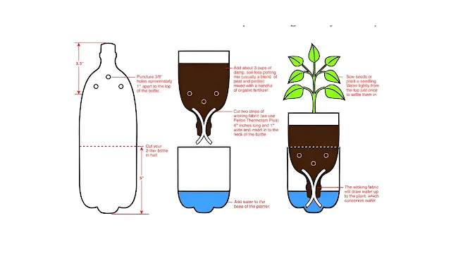 Cara Membuat Hidroponik Botol Bekas