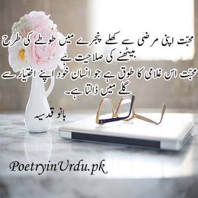 urdu quotes life love