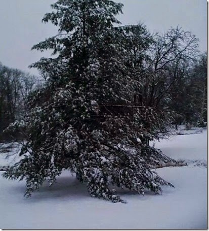 Mom snow
