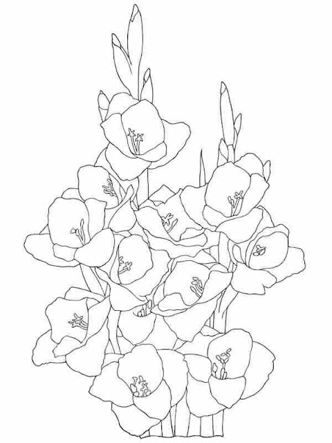 gladiolus flower coloring pages for adults