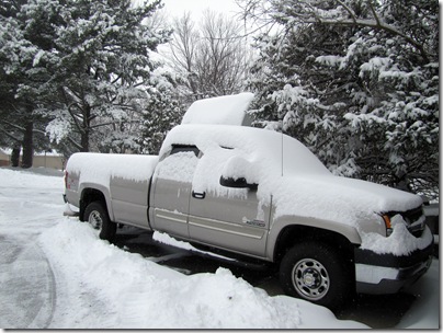 Snow01-20-11f