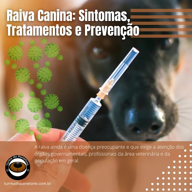 Raiva Canina: Sintomas, Tratamentos e Prevenção