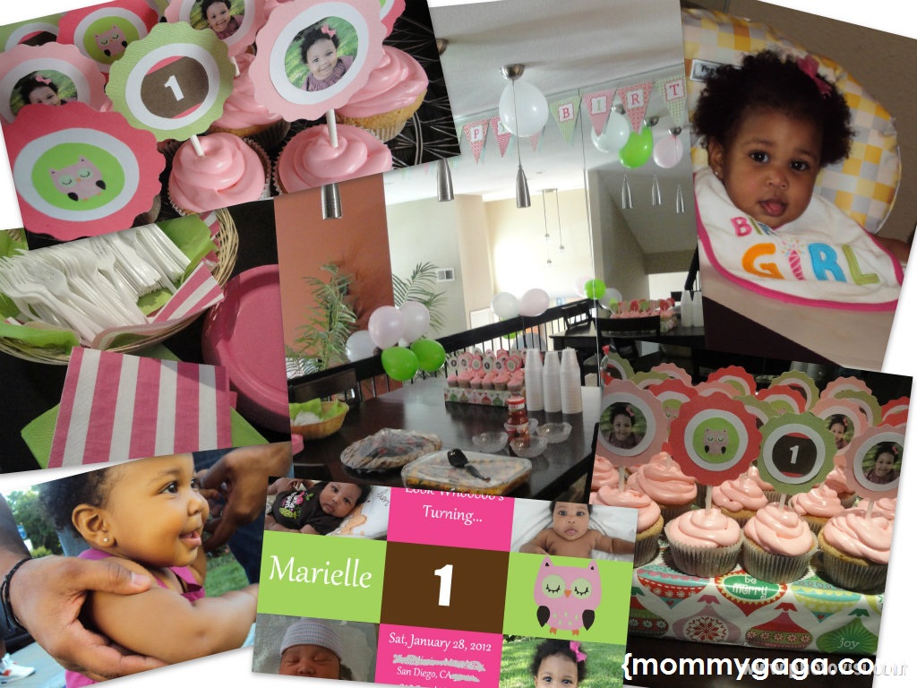  Girls  First  Birthday  Party  Ideas Pink and Green Owl Theme 